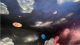 03.png