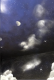 06.png